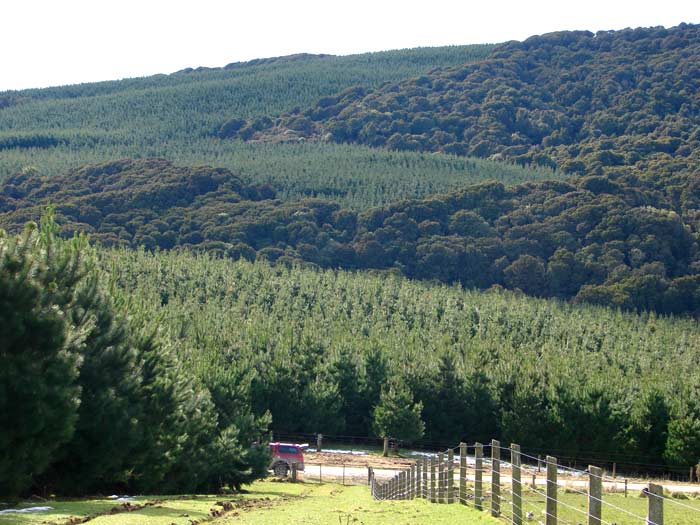  Forestlands New Zealand Ltd  - Forestry and land investments in New Zealand