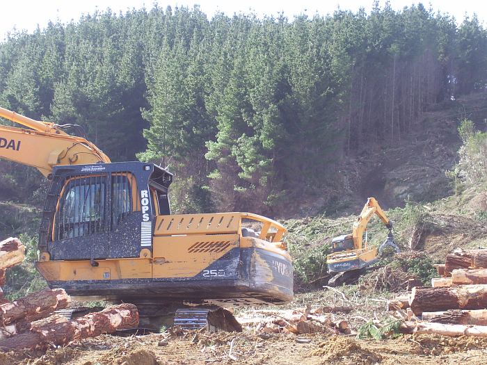 Forestry and land investments in New Zealand